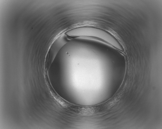 X0000054400850200508192003