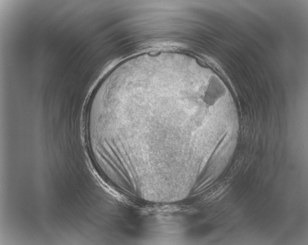 X0000054400851200508192003