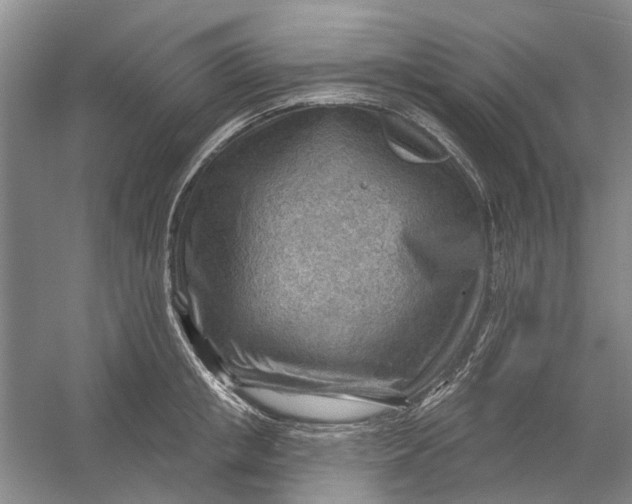 X0000054400853200508192003