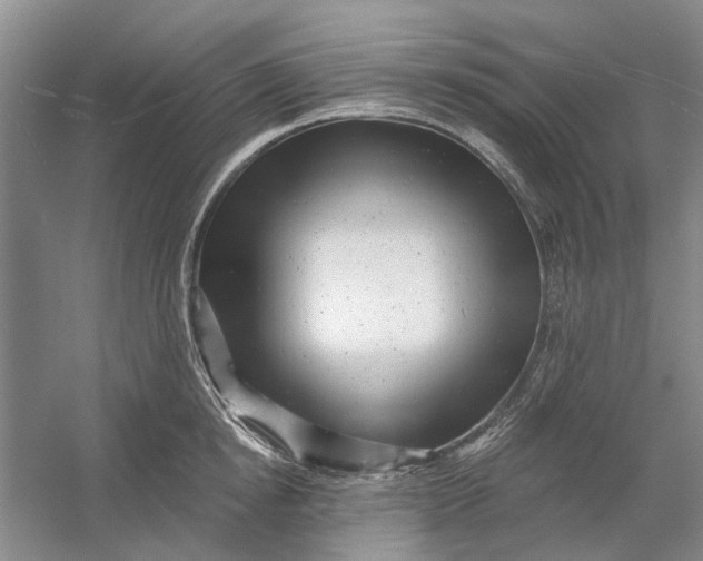 X0000054400854200508192003