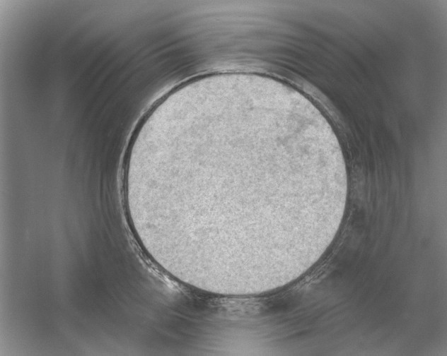 X0000054400856200508192003