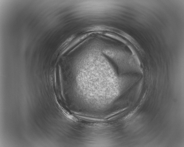 X0000054400857200508192003