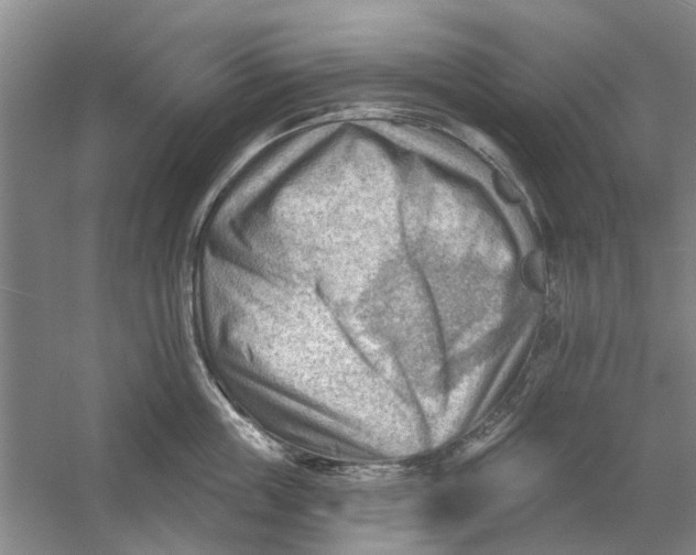 X0000054400859200508192003