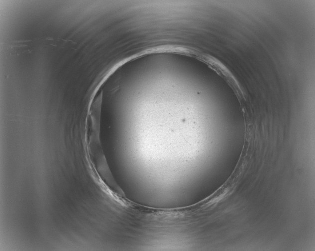 X0000054400860200508192003