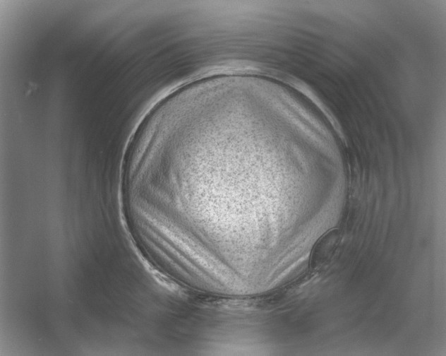 X0000054400861200508192003