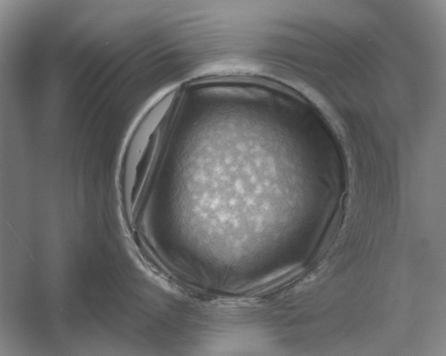 X0000054400864200508192003