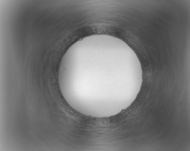 X0000054400865200508192002