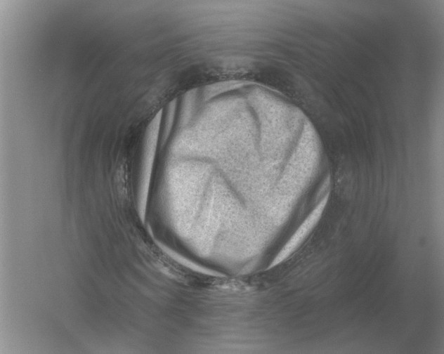 X0000054400866200508192002