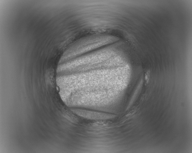 X0000054400867200508192002