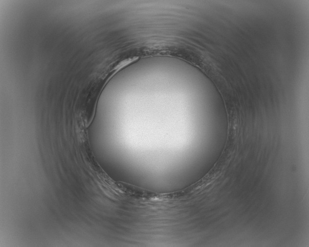 X0000054400868200508192002