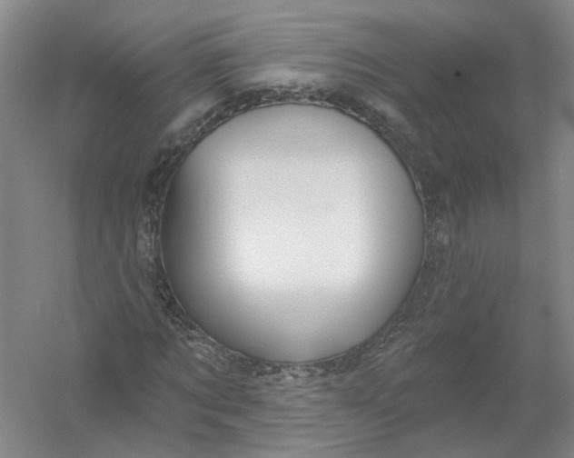 X0000054400869200508192002