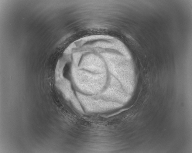 X0000054400870200508192002