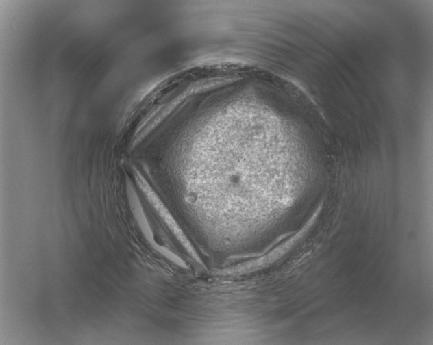 X0000054400871200508192002