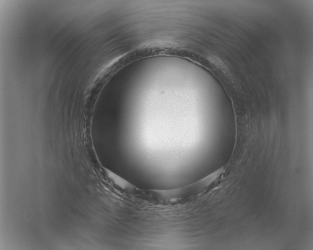 X0000054400872200508192002