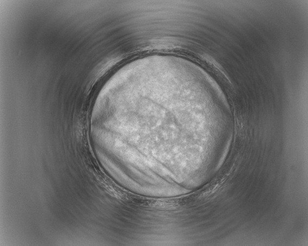 X0000054400874200508192002