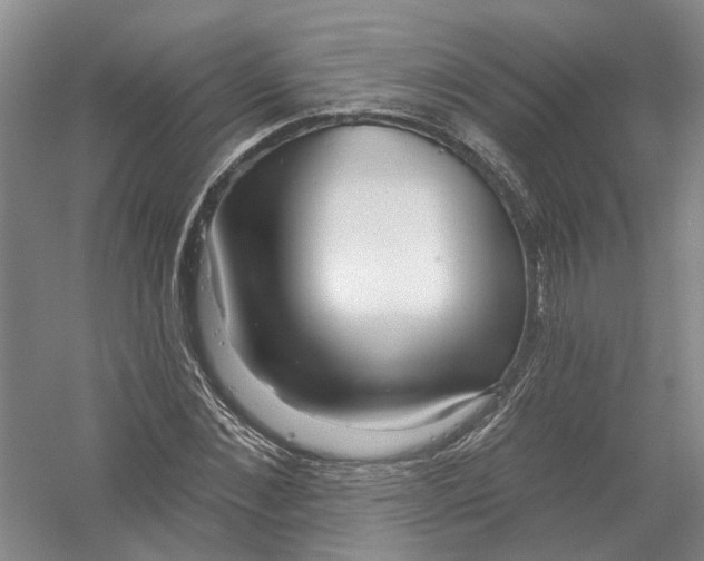 X0000054400876200508192002