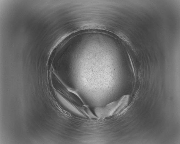 X0000054400877200508192002