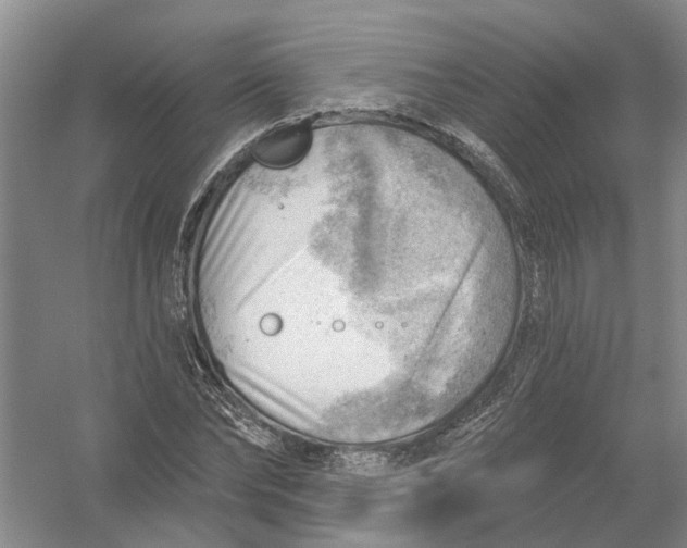 X0000054400878200508192002