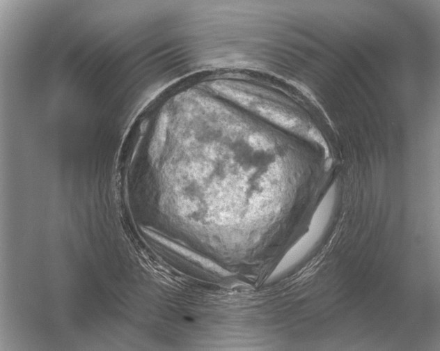 X0000054400879200508192002