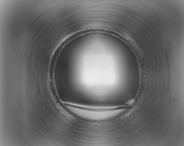 X0000054400880200508192002