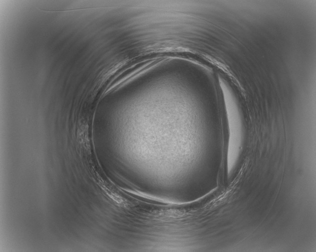 X0000054400881200508192002