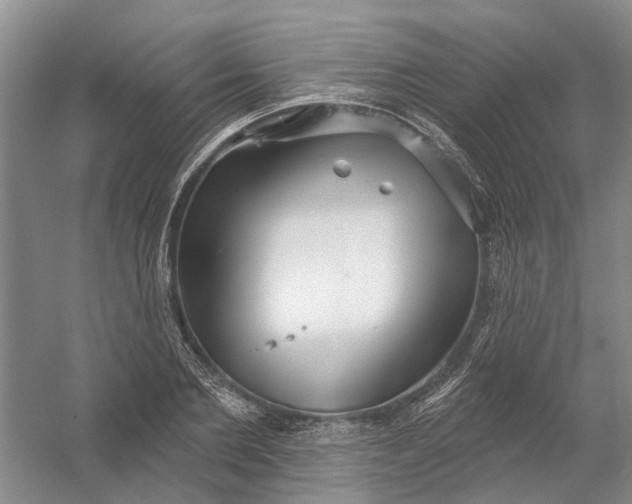 X0000054400885200508192002