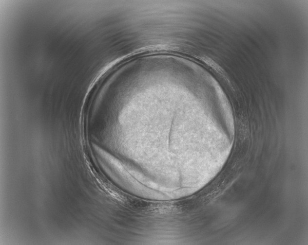 X0000054400886200508192002