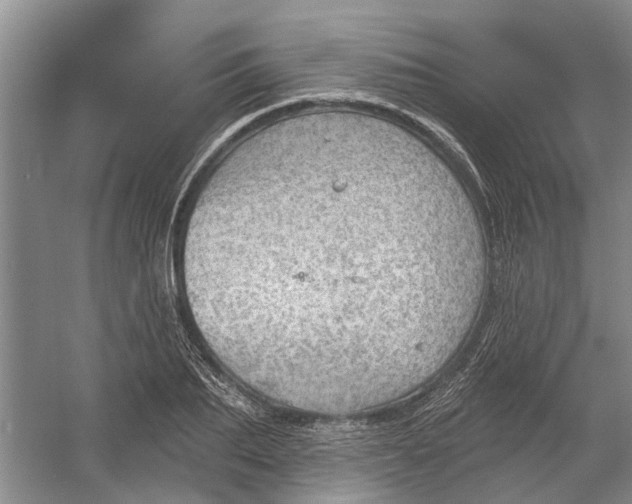 X0000054400887200508192002