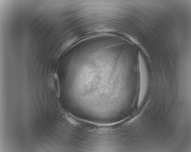 X0000054400889200508192002