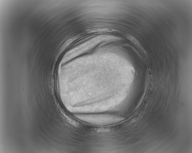 X0000054400890200508192002