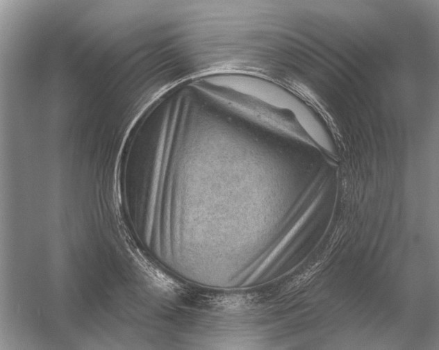 X0000054400892200508192002