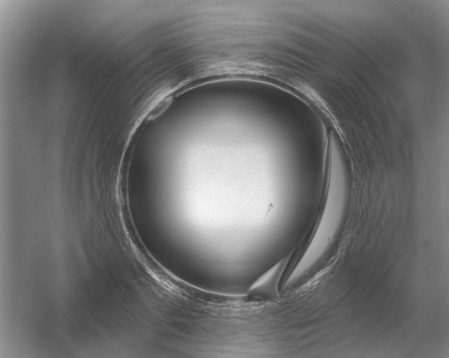 X0000054400893200508192002