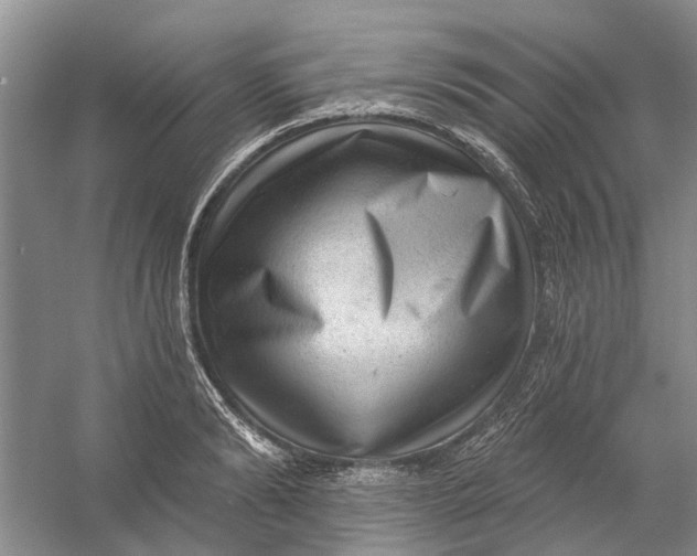 X0000054400894200508192002