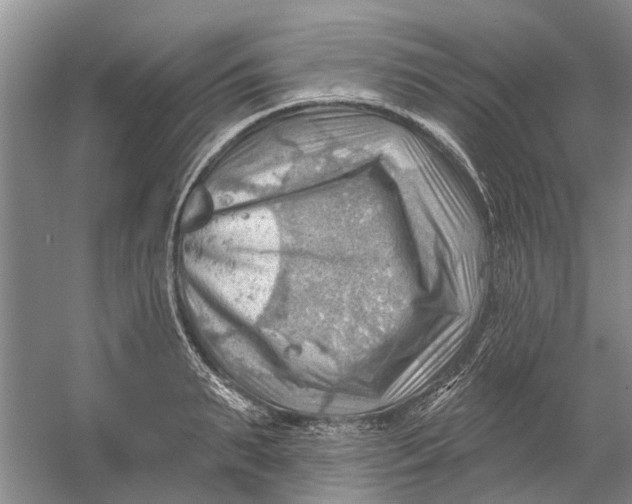 X0000054400895200508192002