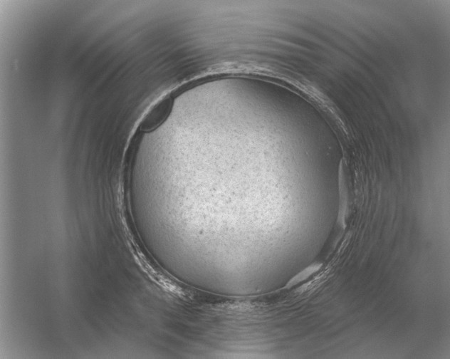 X0000054400896200508192002