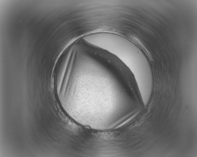 X0000054400900200508192002