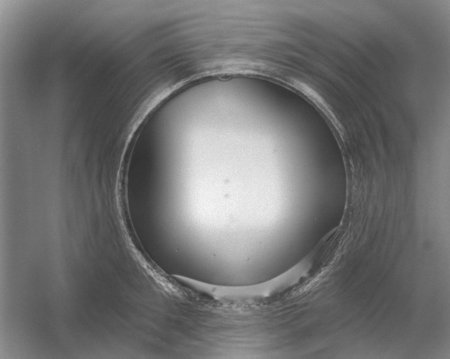 X0000054400901200508192002