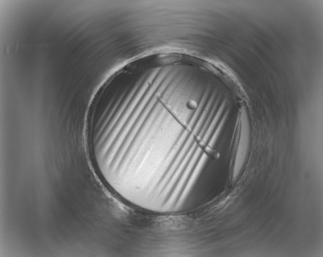 X0000054400902200508192002