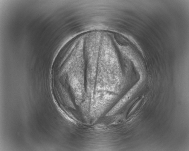 X0000054400903200508192002