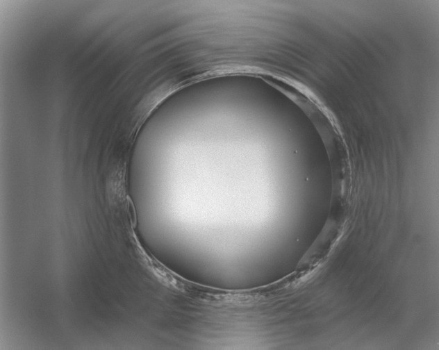 X0000054400905200508192002