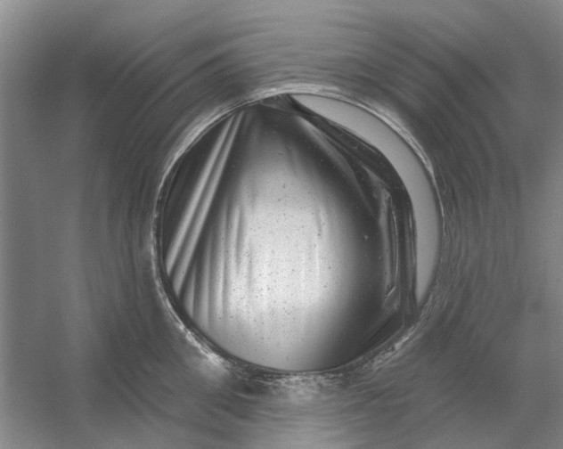 X0000054400906200508192002