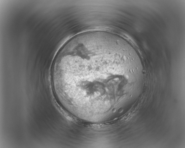 X0000054400907200508192002