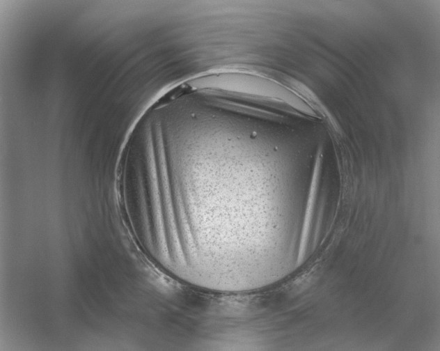 X0000054400908200508192002