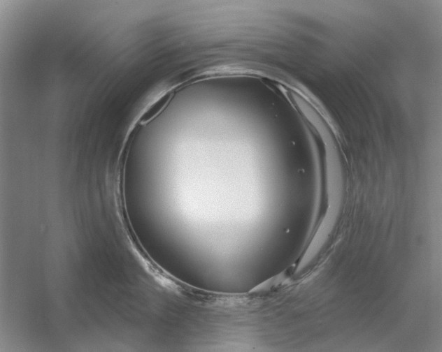 X0000054400909200508192002