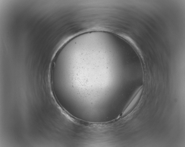 X0000054400910200508192002