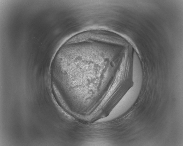 X0000054400911200508192002