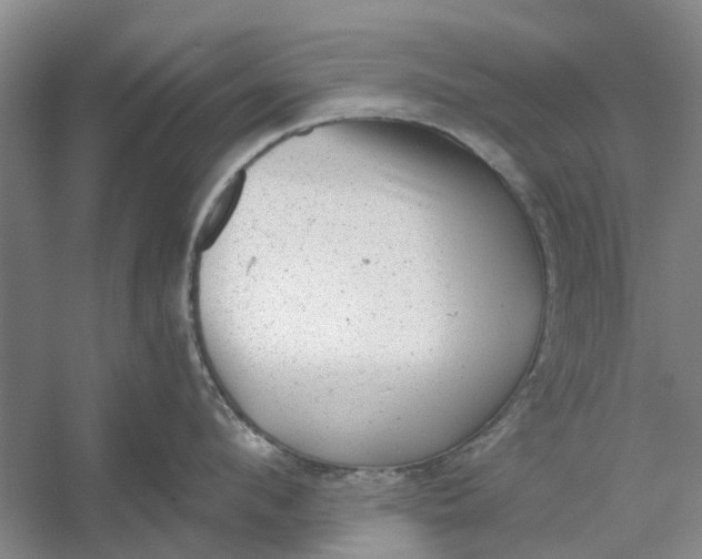 X0000054400912200508192001