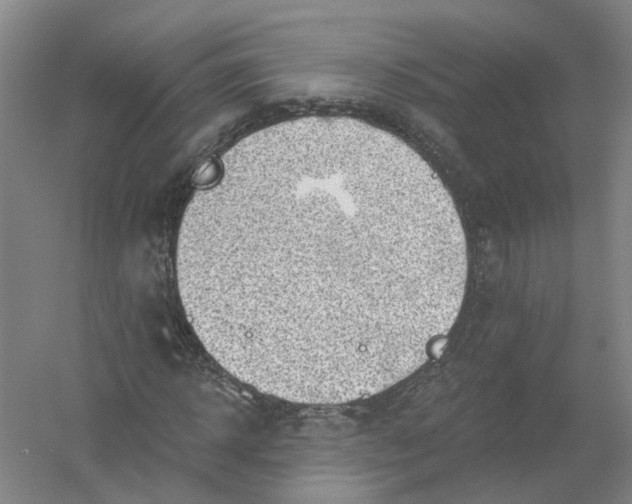 X0000054400918200508192001