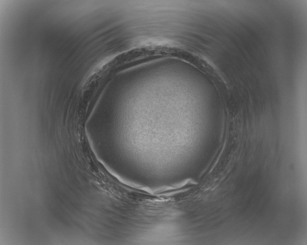 X0000054400919200508192001