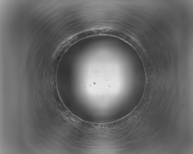 X0000054400920200508192001